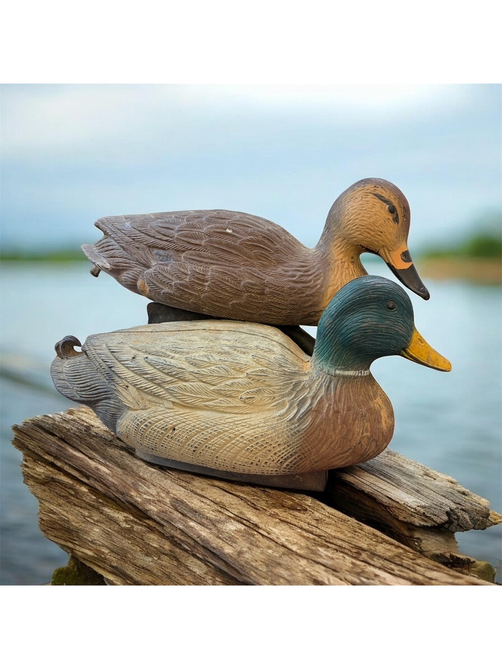 Flambeau duck decoys mallard drake & hen. Decor only man cave